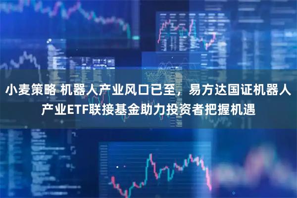 小麦策略 机器人产业风口已至,易方达国证机器人产业ETF联接基金助力投资者把握机遇