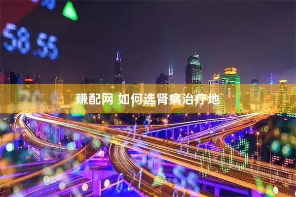 赚配网 如何选肾病治疗地