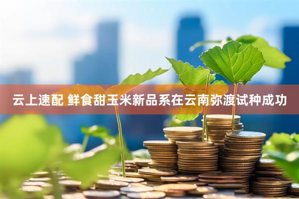 云上速配 鲜食甜玉米新品系在云南弥渡试种成功